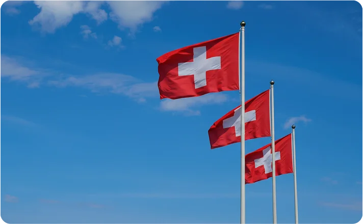 Umzug  Switzerland Banner